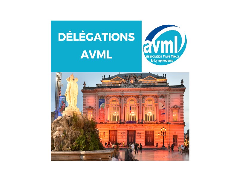 Lire la suite à propos de l’article Quand les délégations régionales de l’AVML se retrouvent (2022)