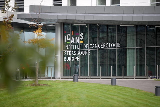 Lire la suite à propos de l’article L’ICANS soutient la Journée Mondiale du Lymphoedème (2022)