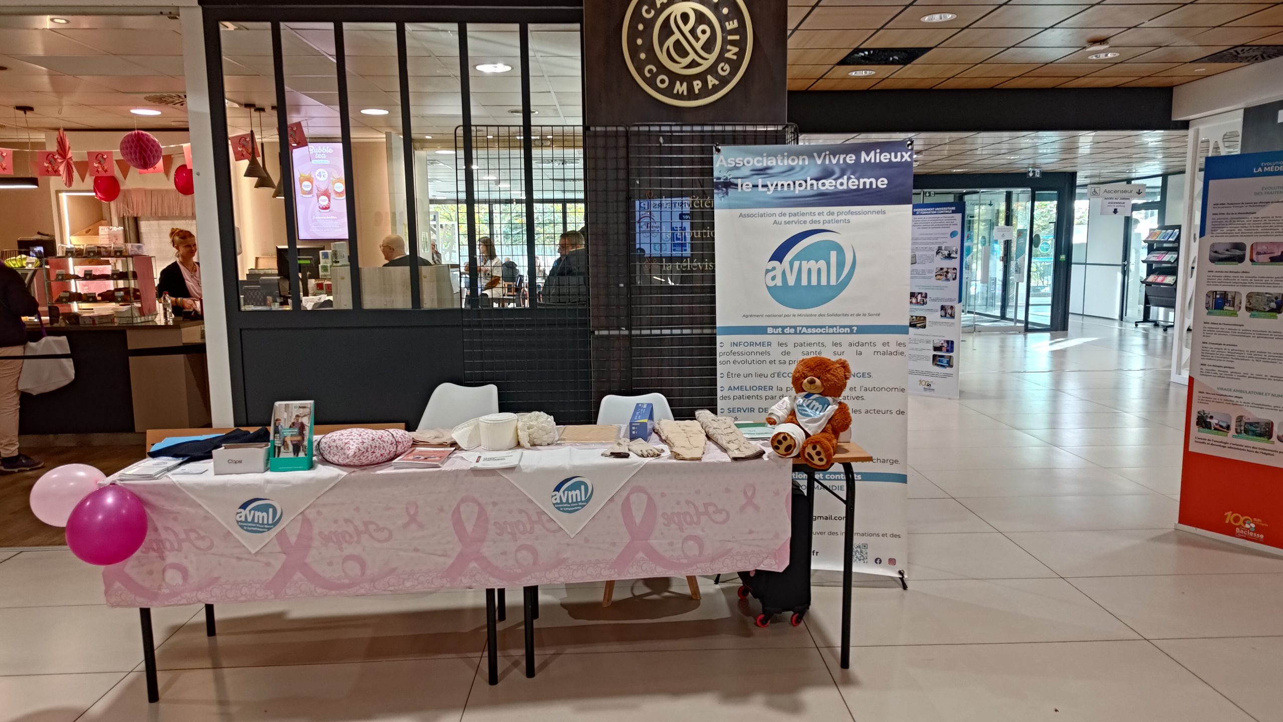 Lire la suite à propos de l’article Caen – AVML participe à Octobre Rose ! – Compte rendu